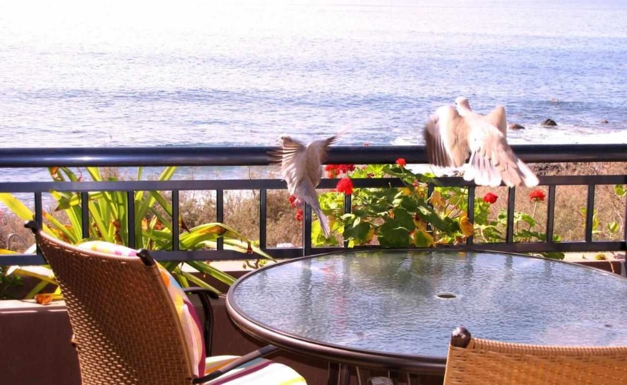 Apartment Chijere Faro Del Ingles *