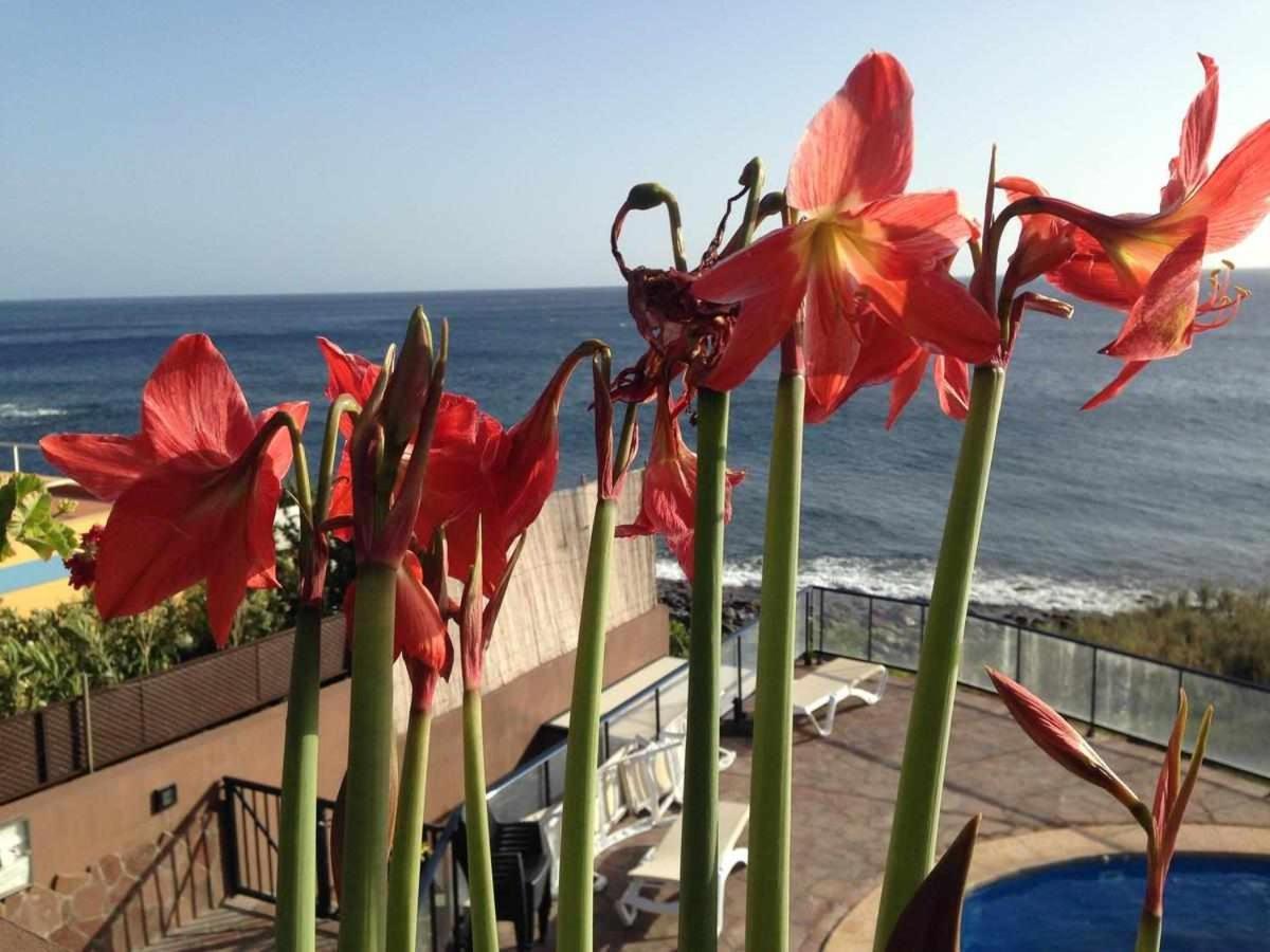 Chijere Faro Del Inglés Appartement *